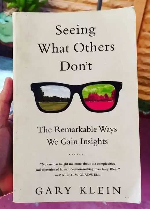 Seeing What Others Don't: The Remarkable Ways We Gain Insights, Gary Klein